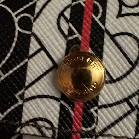 Burberry Beige E-Canvas Monogram Stripe AirPods Pro Case - authentic - Picture 4 of 16